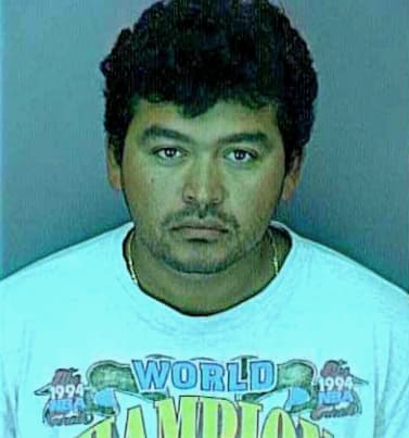 Velasquez Santos - Lee County, FL 