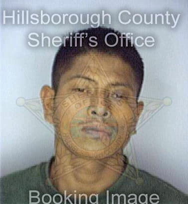 Hernandez Nelson - Hillsborough County, FL 