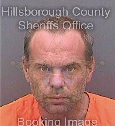 Hanson Peter - Hillsborough County, FL 