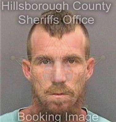 Bergeron David - Hillsborough County, FL 