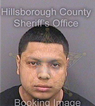 Ramirez Grady - Hillsborough County, FL 