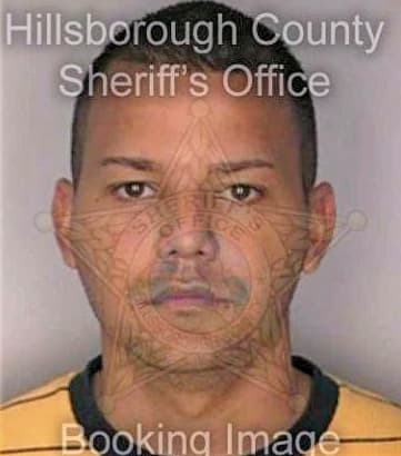 Dejesus Luis - Hillsborough County, FL 