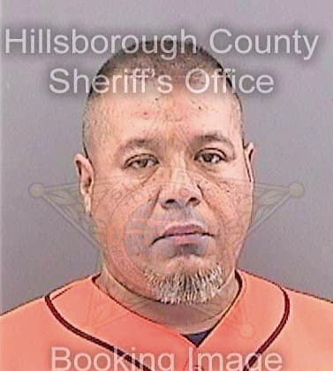 Castro Luis - Hillsborough County, FL 