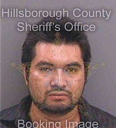 Mendozaortiz Atanacio - Hillsborough County, FL 