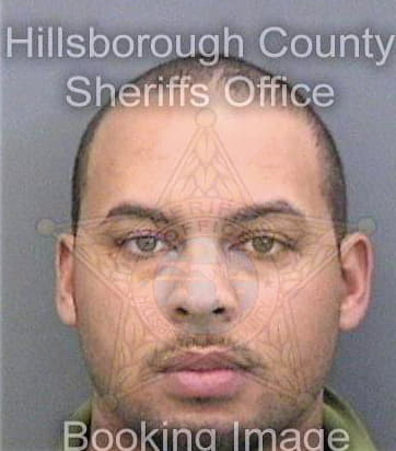 Barnett Dennis - Hillsborough County, FL 