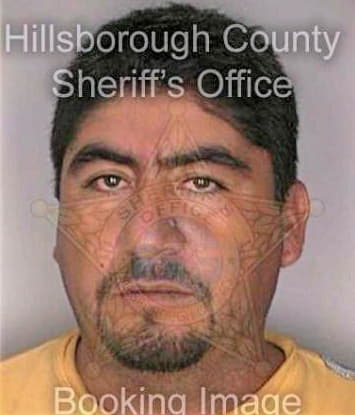 Gonzalez Jose - Hillsborough County, FL 