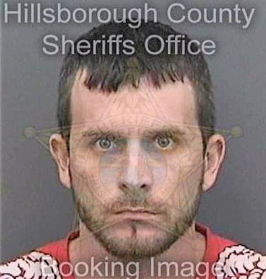 Carlisle Joshua - Hillsborough County, FL 