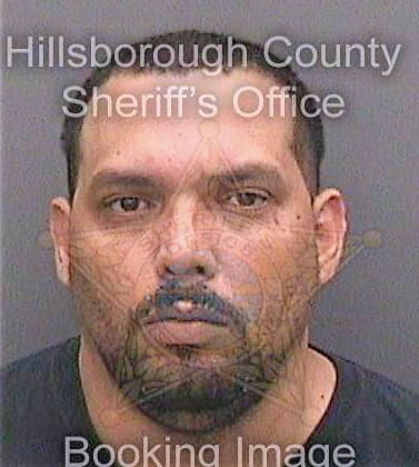 Lopez Wilfredo - Hillsborough County, FL 