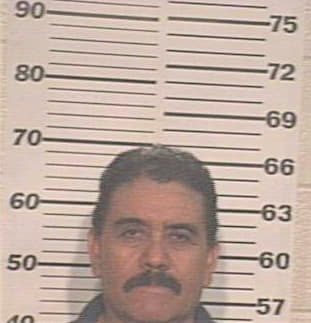 Gomez Ismael - Hidalgo County, TX 