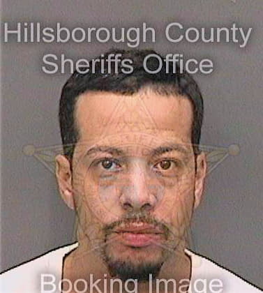 Malave Luis - Hillsborough County, FL 