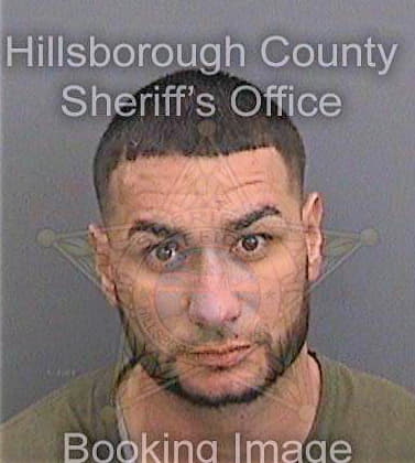 Medina Amilcar - Hillsborough County, FL 