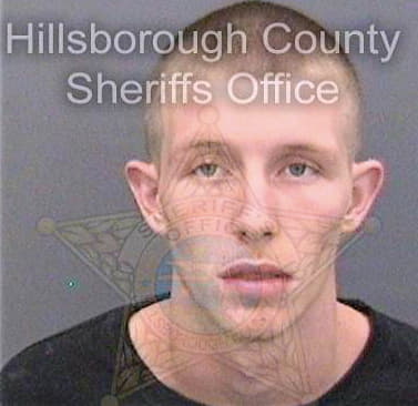 Seiber Carl - Hillsborough County, FL 