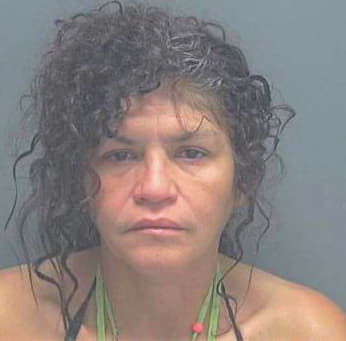 Soto Joan - Lee County, FL 
