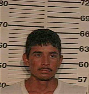 Hernandez Javier - Hidalgo County, TX 