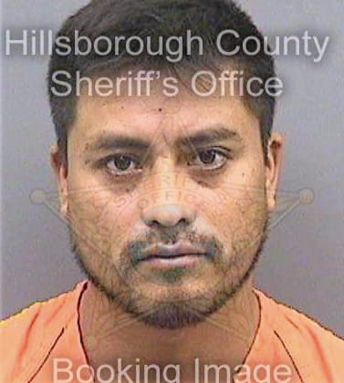 Hernandezgarcia Absalon - Hillsborough County, FL 