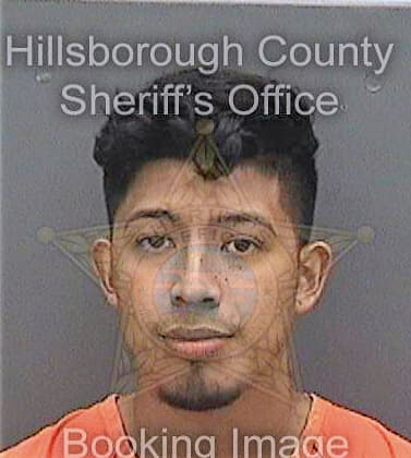 Vergara Giancarlo - Hillsborough County, FL 