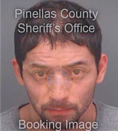 Cortes Luis - Pinellas County, FL 