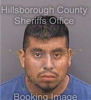 Delangelhernandez Victor - Hillsborough County, FL 