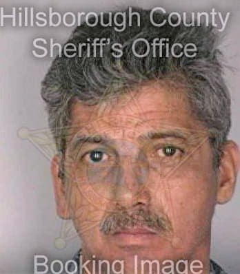 Lugo David - Hillsborough County, FL 