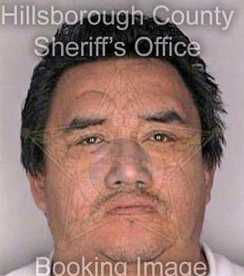 Meza Francisco - Hillsborough County, FL 