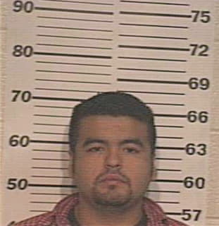 Garcia Gilberto - Hidalgo County, TX 