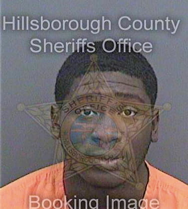 Thompson Gregory - Hillsborough County, FL 