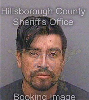 Diazperez Hermilio - Hillsborough County, FL 