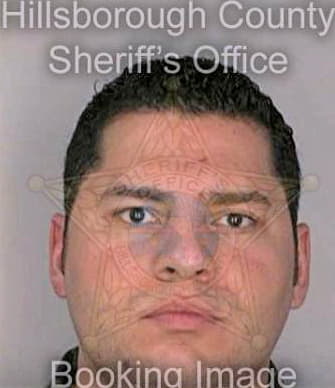Blandon Alejandro - Hillsborough County, FL 