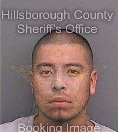 Perezrodriguez Edy - Hillsborough County, FL 