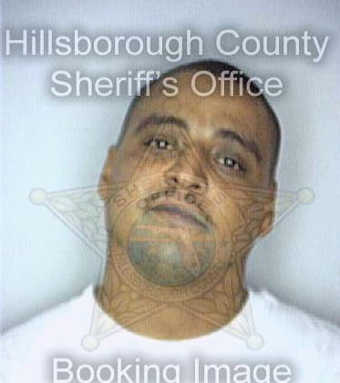 Delgado Juan - Hillsborough County, FL 