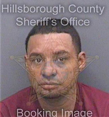 Vazquez Carlos - Hillsborough County, FL 