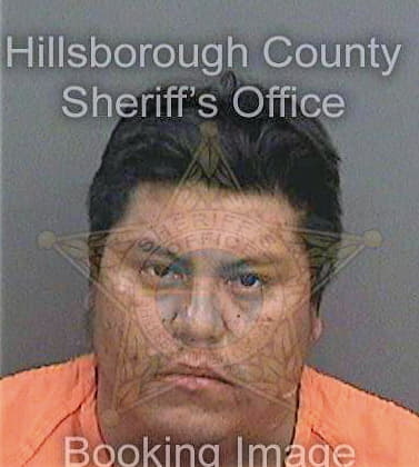 Diazdominguez Areth - Hillsborough County, FL 