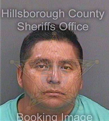 Gomezgomez Arcadio - Hillsborough County, FL 