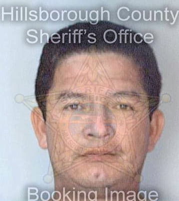 Patterson Figueroa - Hillsborough County, FL 