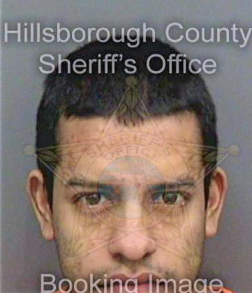 Perez Limber - Hillsborough County, FL 