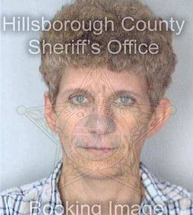 Craig Pauline - Hillsborough County, FL 