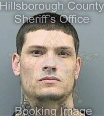 Batta Anthony - Hillsborough County, FL 