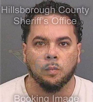 Soto Daniel - Hillsborough County, FL 