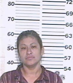 Davila Sandra - Hidalgo County, TX 