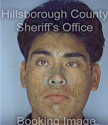 Garcia Jesus - Hillsborough County, FL 