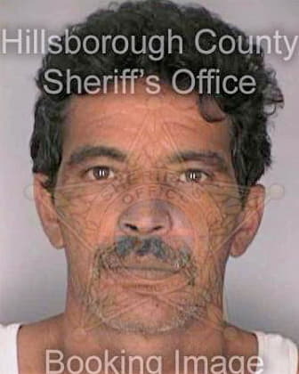 Granado Mario - Hillsborough County, FL 