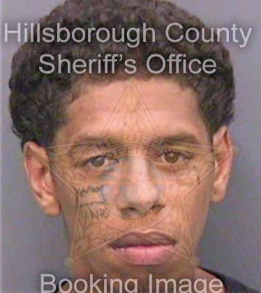 Barnes Deanthony - Hillsborough County, FL 