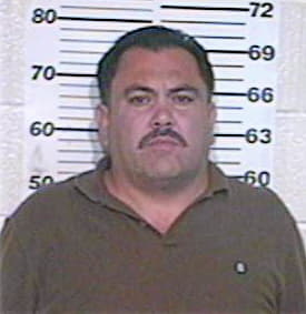 Garza Ernesto - Hidalgo County, TX 