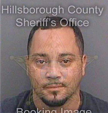 Perez Carmelo - Hillsborough County, FL 