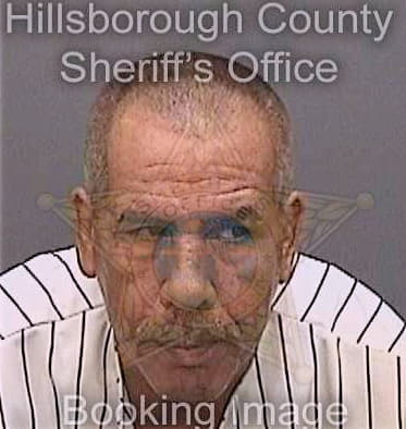 Sanchez Raymond - Hillsborough County, FL 