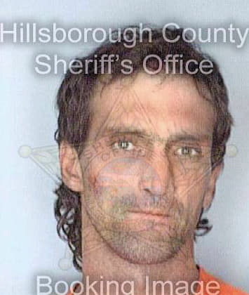 Bortniker Brandon - Hillsborough County, FL 