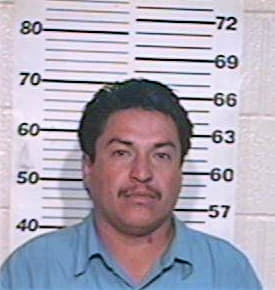 Cedillo Misael - Hidalgo County, TX 