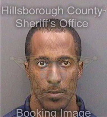 Patterson David - Hillsborough County, FL 