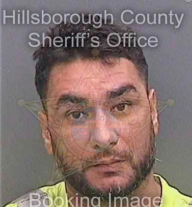 Medina Amilcar - Hillsborough County, FL 