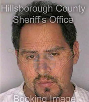 Mendozamedina Jose - Hillsborough County, FL 